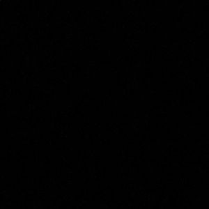 Meet your Posher, Paloma